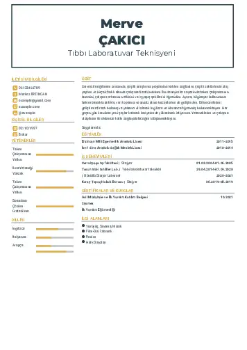 Laboratuvar Teknisyeni Cv Örnekleri cv indir